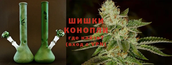 прущие грибы Алзамай