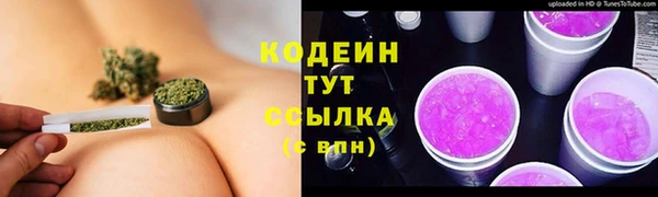 прущие грибы Алзамай