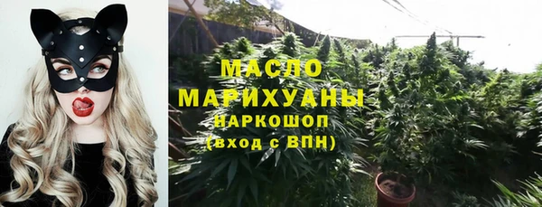 прущие грибы Алзамай