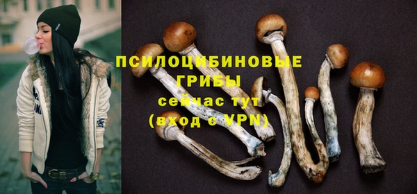шишки Абдулино