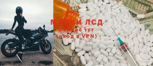 прущие грибы Алзамай