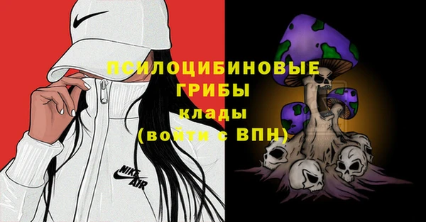 прущие грибы Алзамай