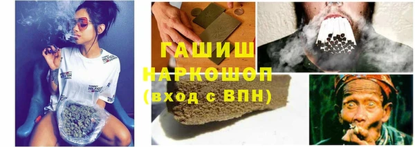 прущие грибы Алзамай