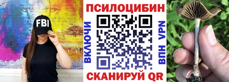 даркнет формула  Алексеевка  Псилоцибиновые грибы Psilocybine cubensis  закладка 