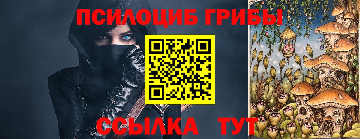 наркотики  Галлюциногенные грибы Cubensis  Вход с VPN  Алексеевка  Псилоцибиновые грибы Psilocybine cubensis 